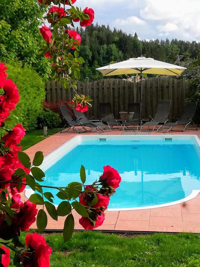 Ferienwohnung Mit Pool In Woerthersee Naehe Dellach  Zewnętrze zdjęcie