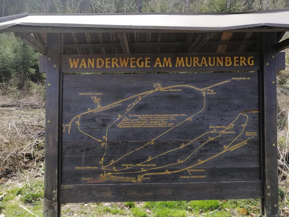 Ferienwohnung Mit Pool In Woerthersee Naehe Dellach  Zewnętrze zdjęcie